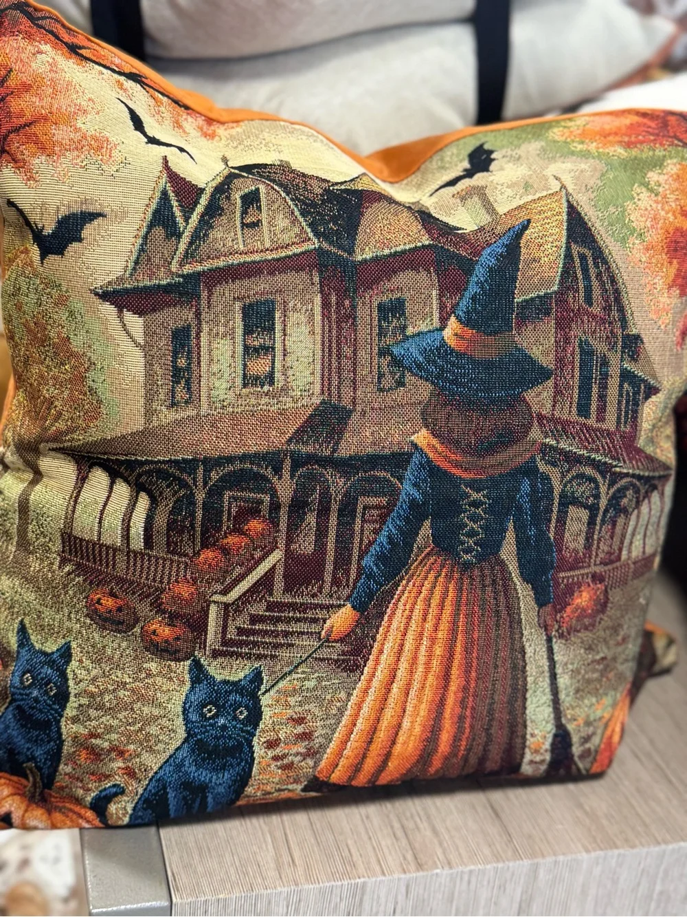 Halloween Witch & Black Cat Decorative Throw Pillow - Orange, Blue